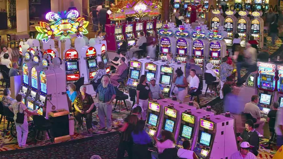 VIP Exclusivo game006